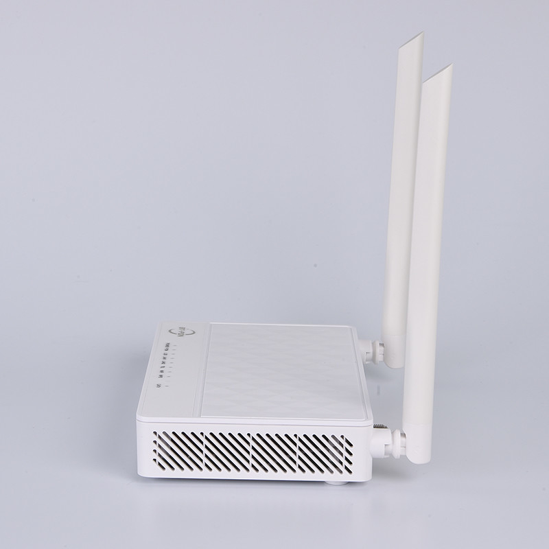 2.4G WLAN Dual Mode Epon Gpon Onu Ont Voice Catv Router